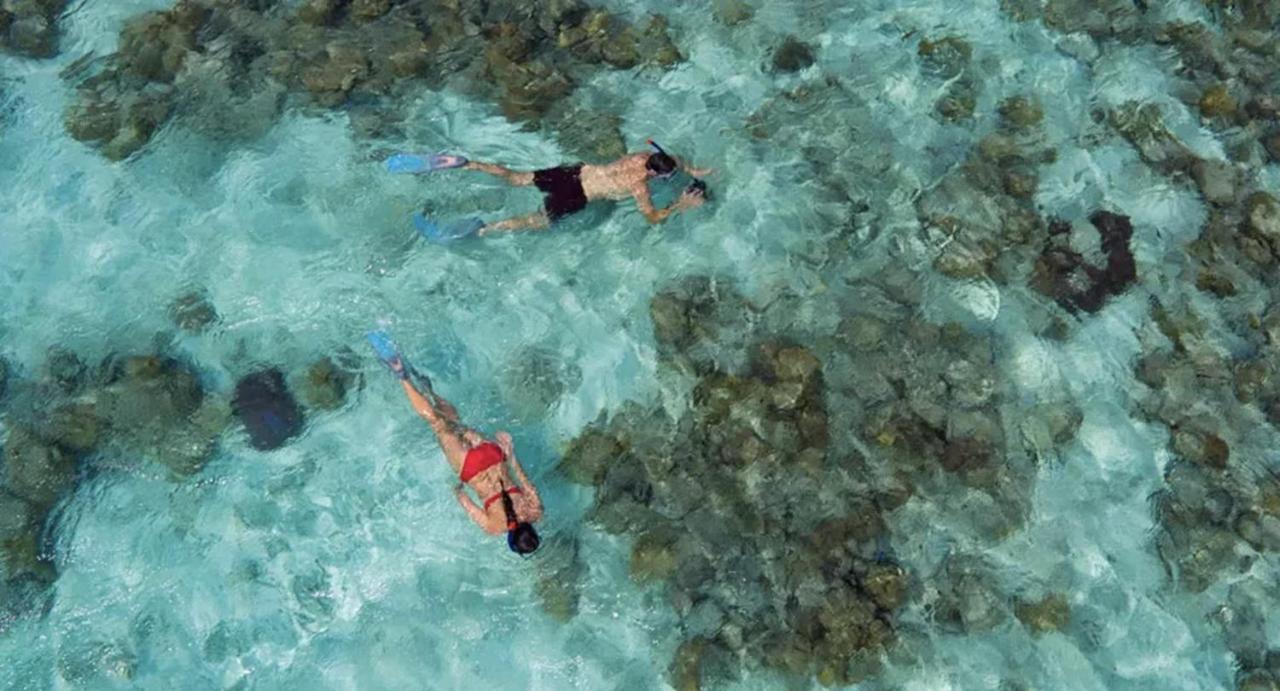 أنانتارا كيهافاه مالديف فيلاز Kihavah Huravalhi Island المظهر الخارجي الصورة